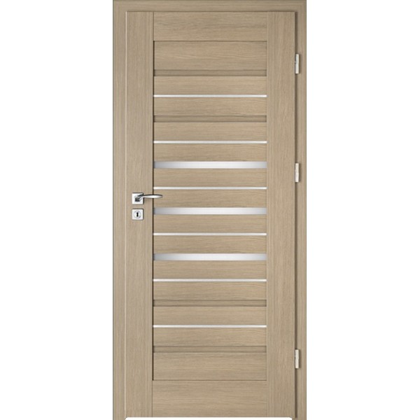 Drzwi wew. INTENSO LION STEEL W-2