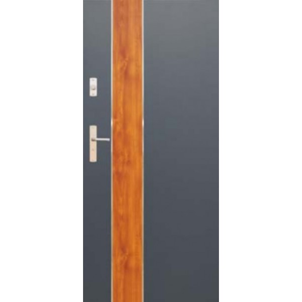 Drzwi zew. aluminiowe WIKĘD FUTURE INOX FI01B