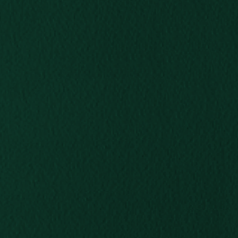 Forest Green (Top Trends Color)  <i class='notranslate''>+ 990,00 Zł</i> 